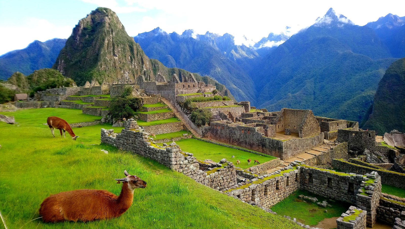 machu-pichu